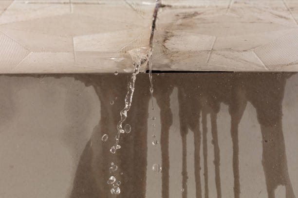 Professional Water Damage Restoration technician working in Goose Creek, SC